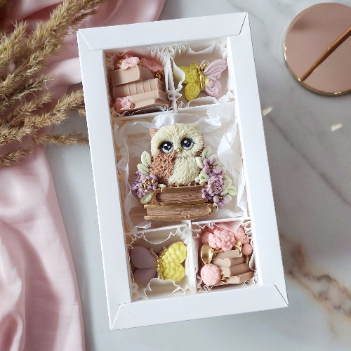 Совушка и книги - кондитерская Кондитерское ПоЛе в Санкт-Петербург заказать торт десерт пирожное онлайн